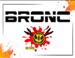bronc
